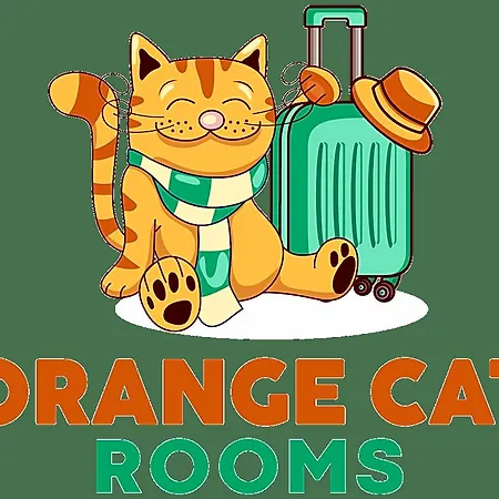 Orange Cat 3* 리가