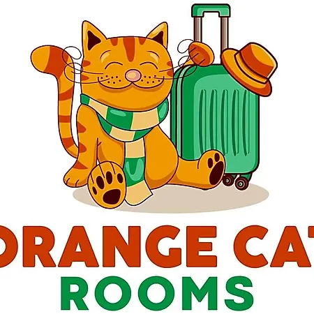Orange Cat 3*